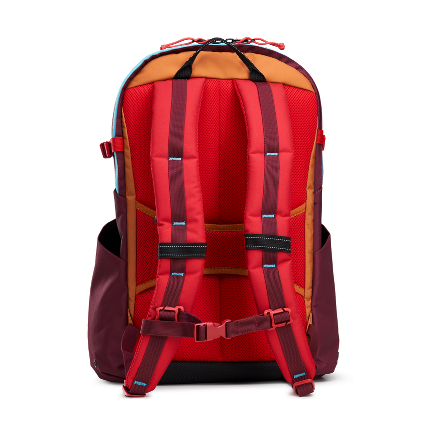 Alpha 20L Backpack - View 4