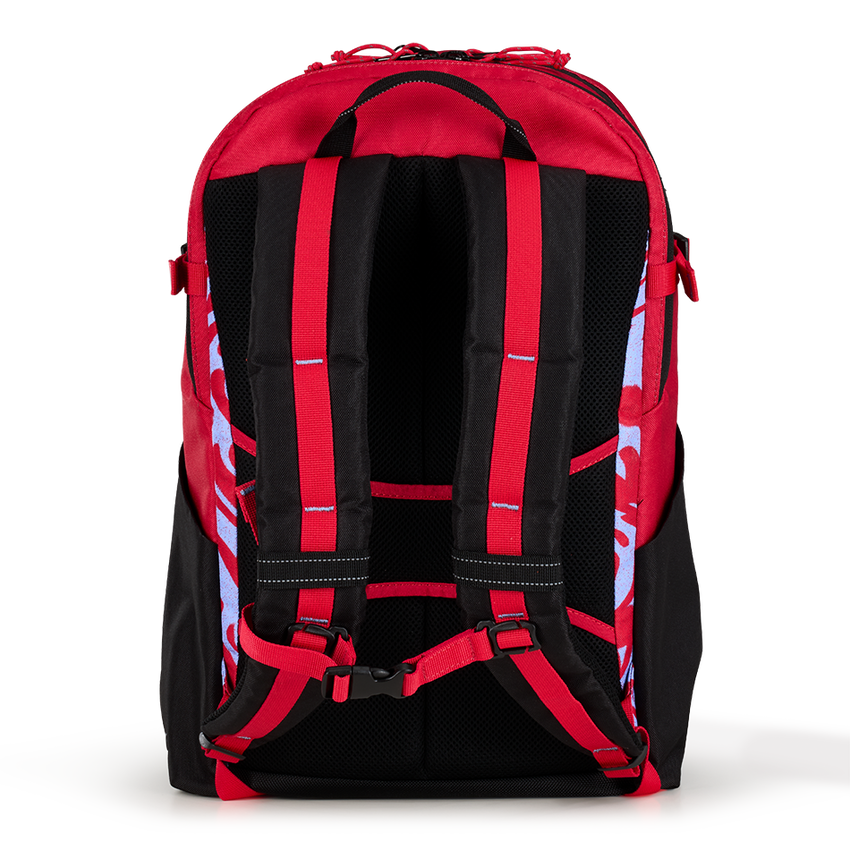Alpha 20L Backpack '25 - View 4