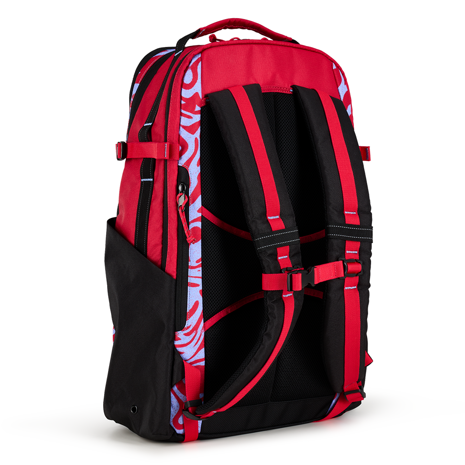 Alpha 25L Backpack '25 image 4