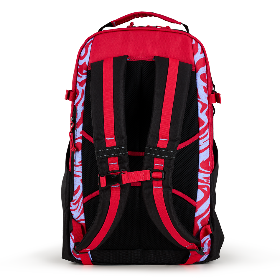 Alpha 25L Backpack '25 image 5