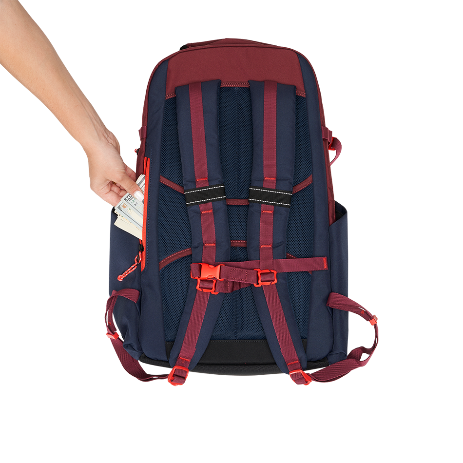 Alpha 25L Backpack '25 image 10