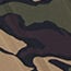 Canopy