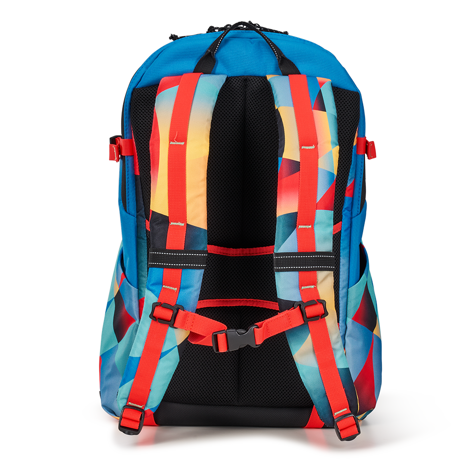 Alpha 20L Backpack '25 image 4