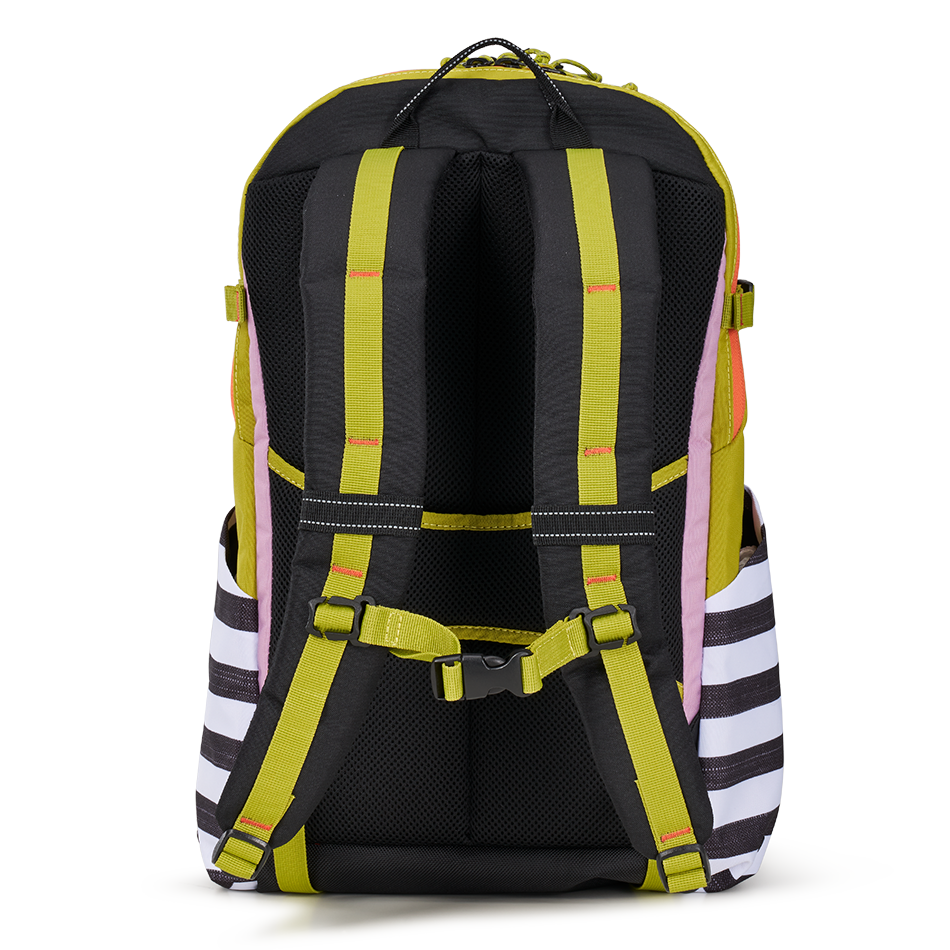 Alpha 20L Backpack '25 image 4