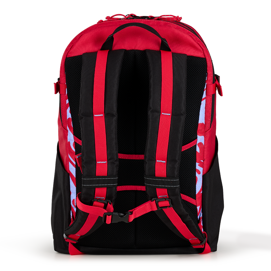 Alpha 20L Backpack '25 image 4